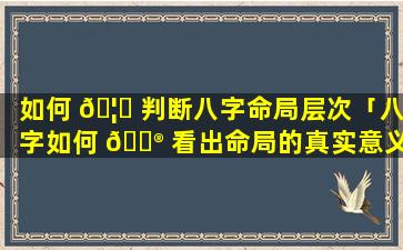 如何 🦋 判断八字命局层次「八字如何 💮 看出命局的真实意义」